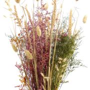 Aquiesse Mission (Demo)