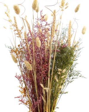 Aquiesse Mission (Demo)